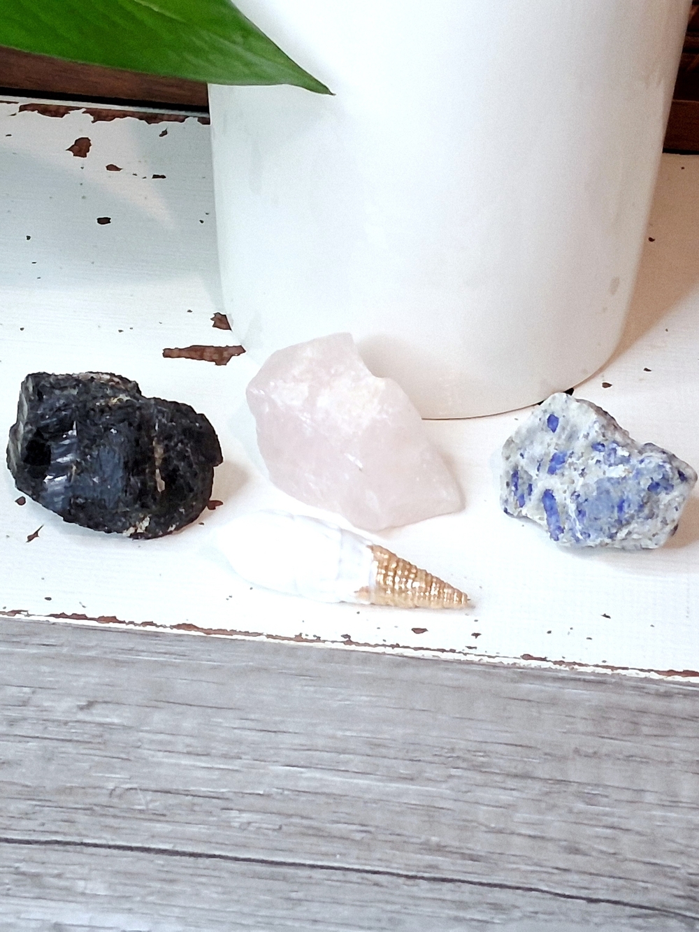 Set of 4 Decorative Raw Stones & Shell Tourmaline, Lapis, Rose Quartz